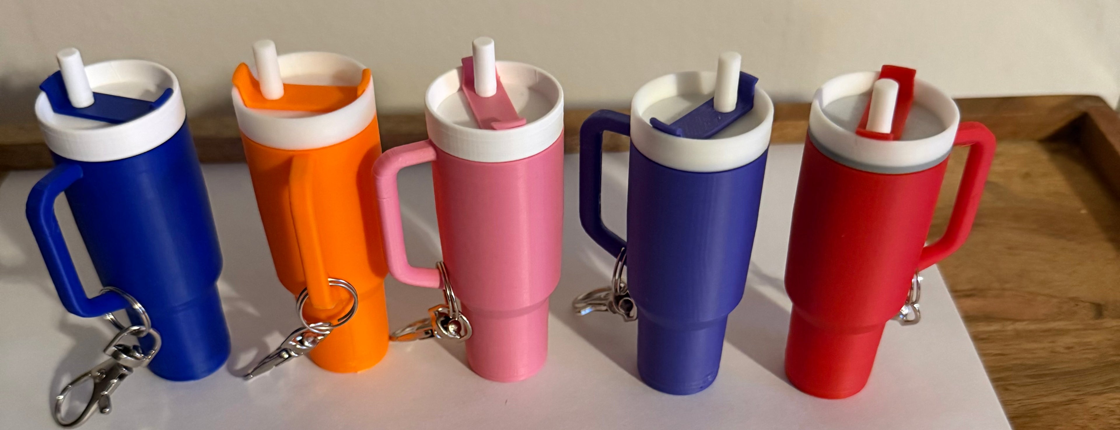 Tumbler storage keychain